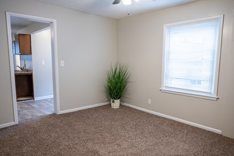 A room with a carpeted floor, a window with blinds, and a plant in a white pot.
