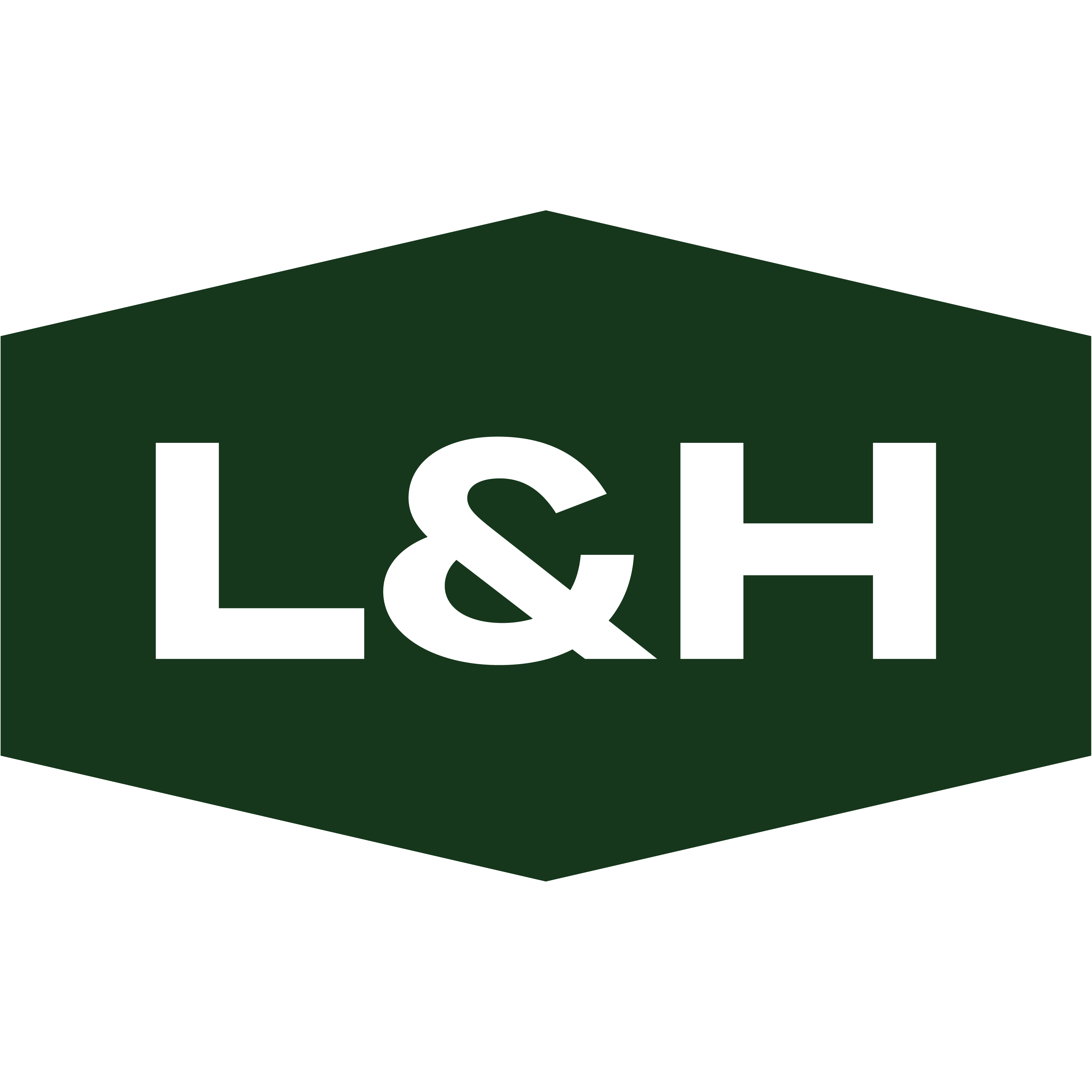 A green hexagon with the letters L&H in white.