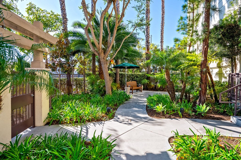 a pathway with trees and plants on either side