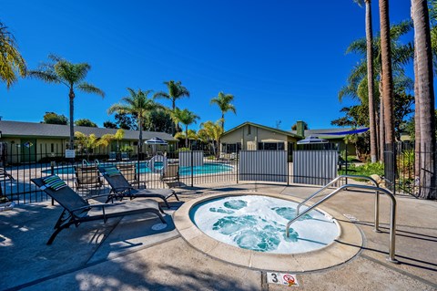 A hot tub sits in the middle of a pool surrounded by palm trees.