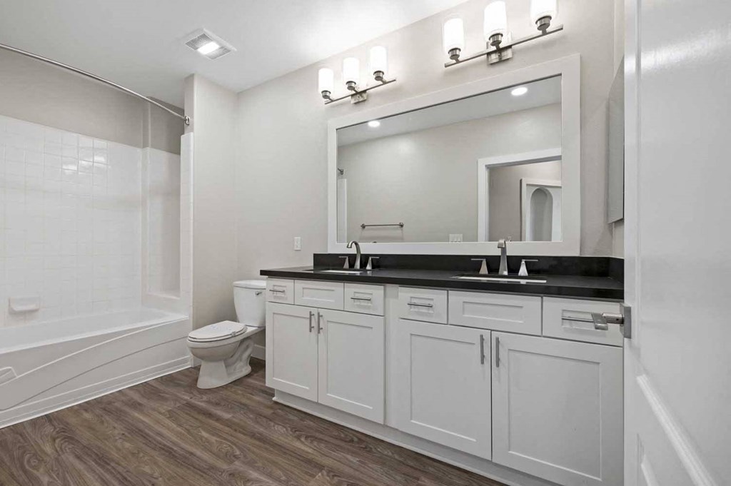 a bathroom with a sink and a toilet and a mirror