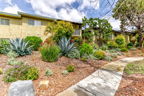 1575 Oak pathway through a garden in front of a yellow building.