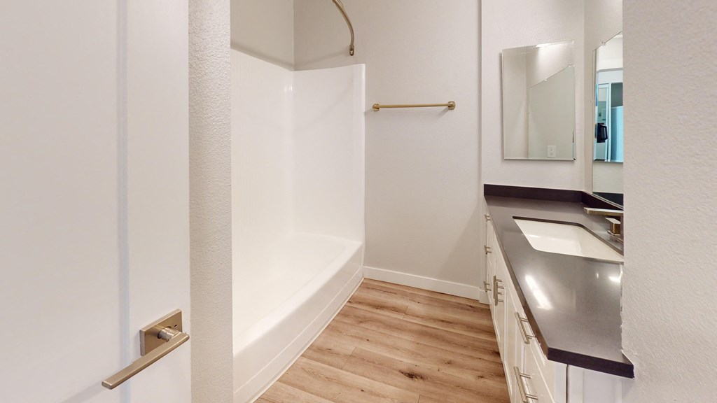 a bathroom with a sink and a bath tub and a mirror