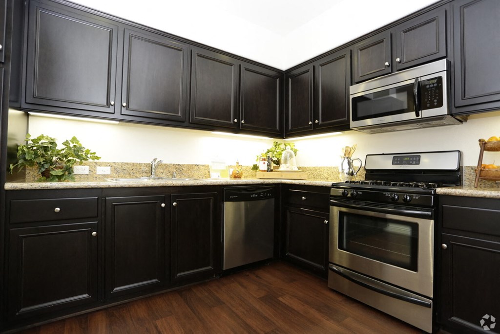 a kitchen with black cabinets and stainless steel appliances