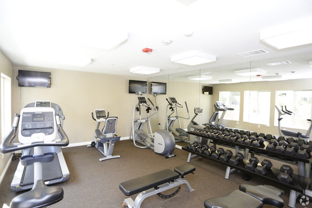 a gym with various cardio machines and weights