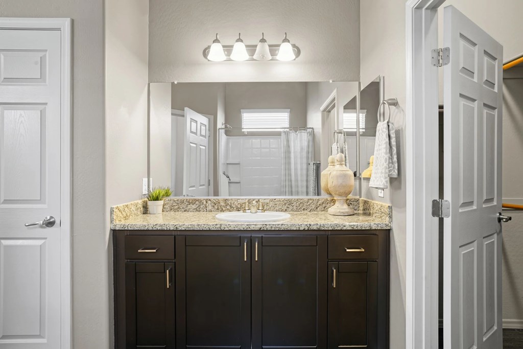 A bathroom with a granite countertop and a vanity with a plant on it.