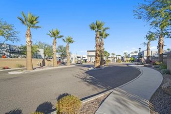A curved road with palm trees on the side.