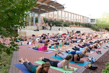 outdoor sunny yoga practice