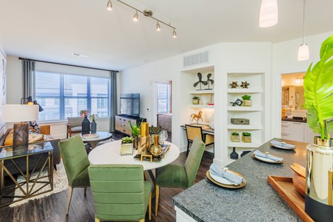 Open Concept Living Areas