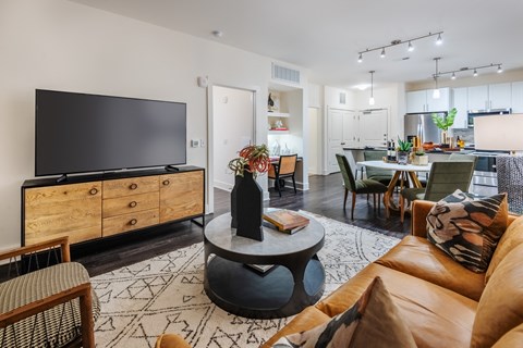 Open Concept Living Areas