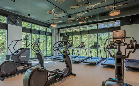 A gym with treadmills and elliptical machines.