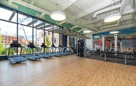 a gym with treadmills and weights on the floor and a wall of windows