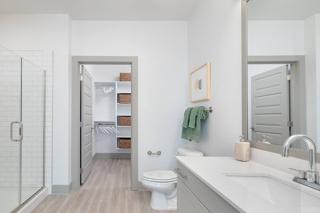 a bathroom with a sink and a toilet and a shower