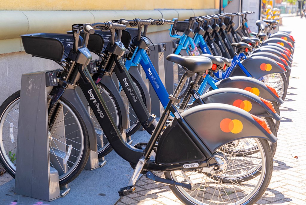 3700 International Boulevard