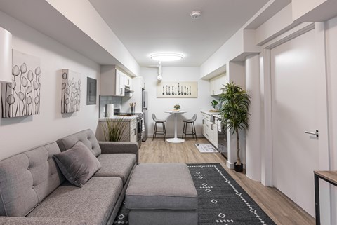 A modern living room with a grey sofa and a black and white rug.