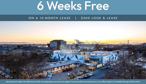 A building with a sign that says "6 Weeks Free on a 12-month lease | $500 look & lease".