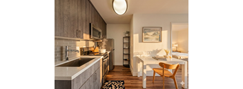 Floor Plan 4 1BR 1BA Junior