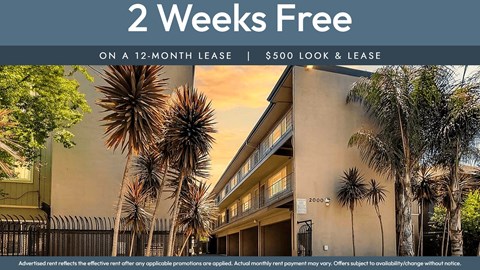 A building with palm trees and a sign that says "2 Weeks Free on a 12-month lease | $500 look & lease".