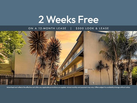 A building with palm trees in front and a sign that says "2 Weeks Free on a 12-month lease | $500 look & lease".