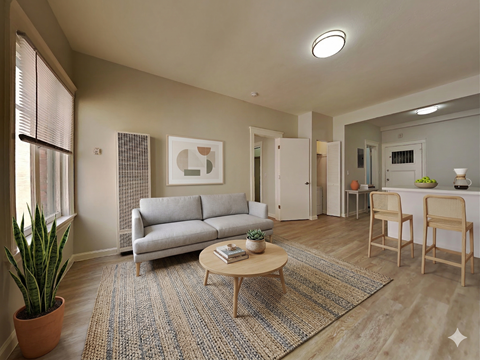 A living room with a grey couch, a coffee table, and a rug.