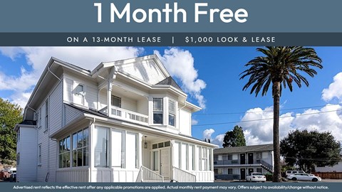 A house with a palm tree in front and a sign that says "1 Month Free on a 13-month lease | $1,000 look & lease".