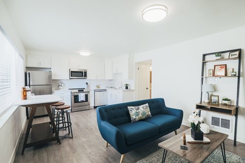 A blue couch sits in a living room with a kitchen in the background.