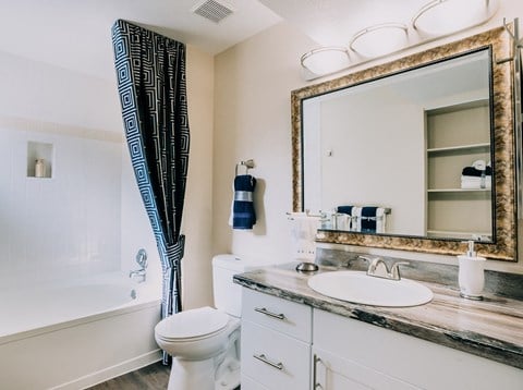 Luxurious Bathroom at Bridgwater, Greenwood Village, Colorado