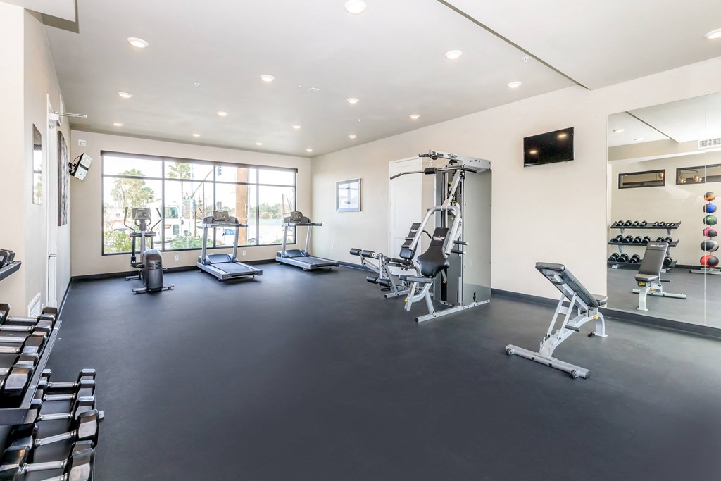 the gym has plenty of weights and cardio equipment and a large window