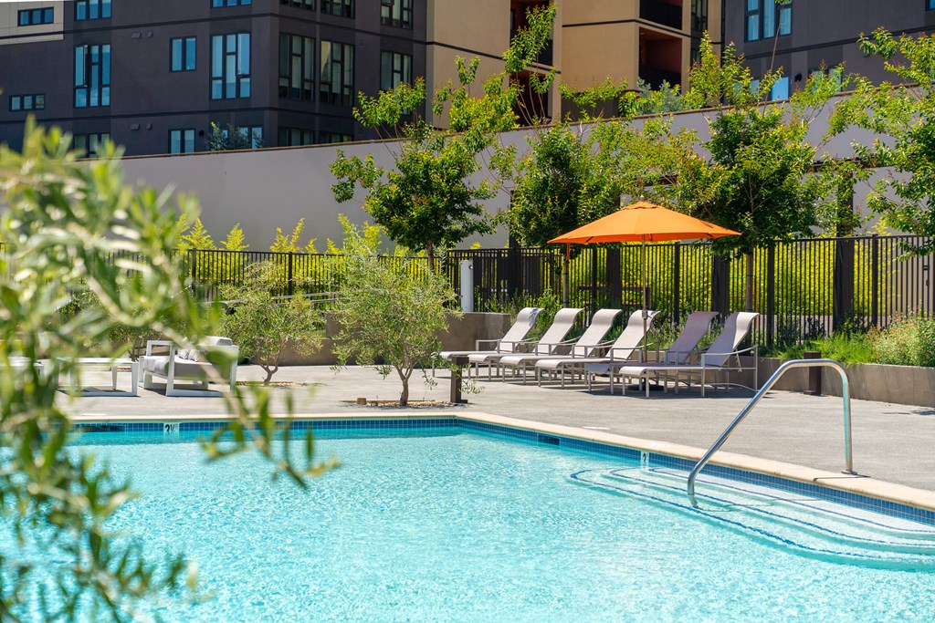 Apartments For Rent In Sunnyvale, CA - 1250 Lakeside - Sparkling Pool With Steps And Lounge Seating Surrounded By Greenery