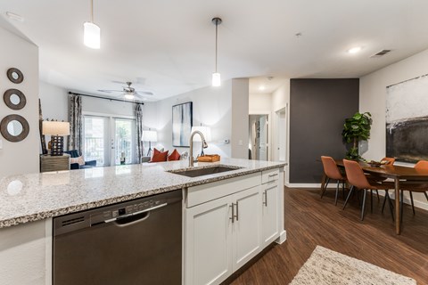 A modern kitchen with a dishwasher and a sink.