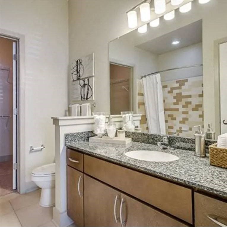 a bathroom with a sink and a toilet and a mirror