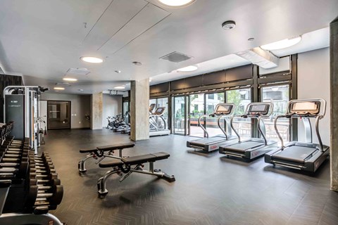 A gym with treadmills, weights, and a table.
