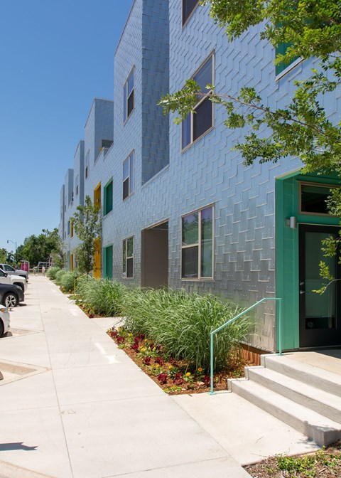 A modern building with a green door and windows with plants in front.