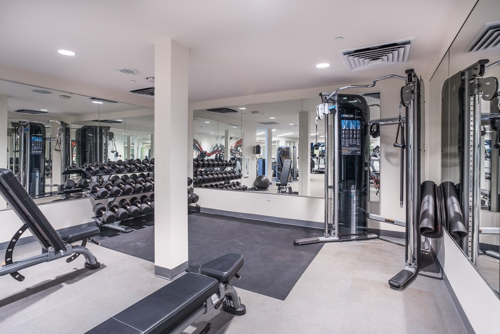 a gym with weights and cardio equipment on the floor and a mirrored wall
