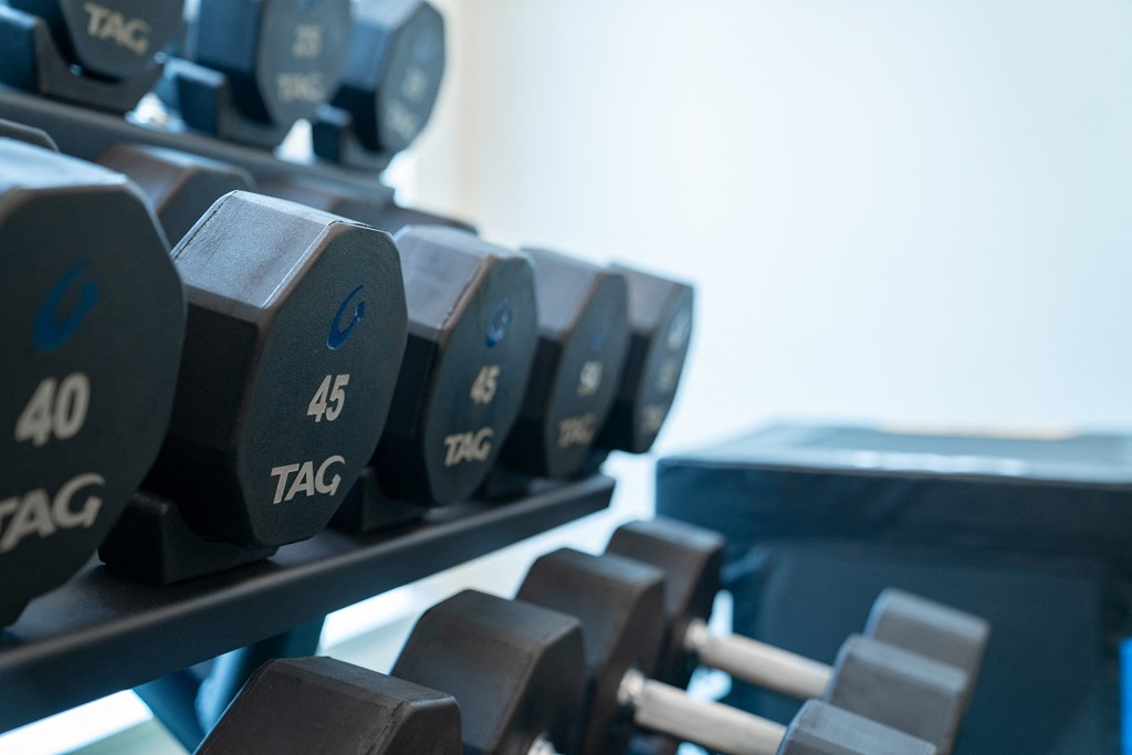 a set of weights in a gym