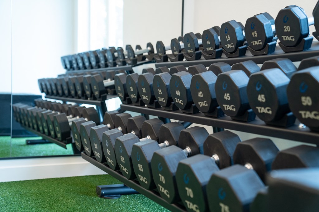 a row of weights on a rack in a gym