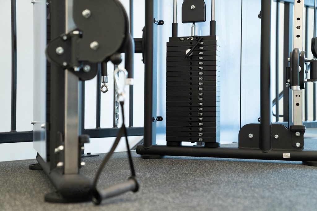 a gym with weights and cardio equipment on the floor