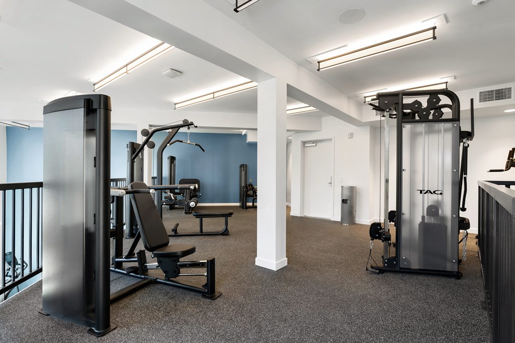 a gym with cardio equipment and weights on a carpet floor