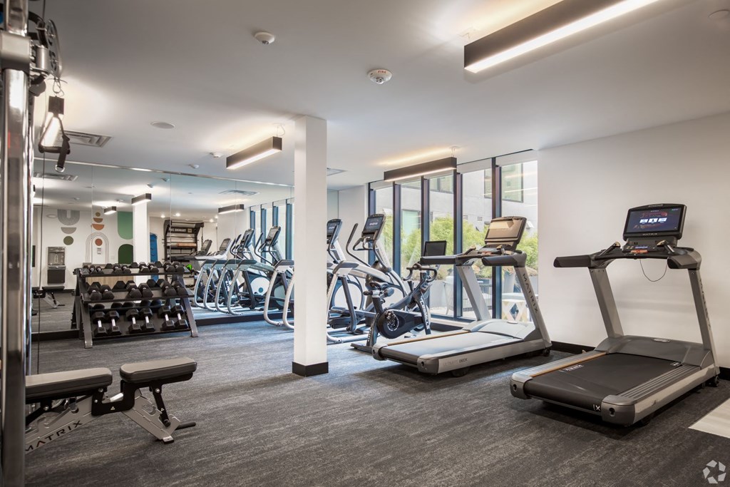 a gym with cardio equipment and weights on the floor