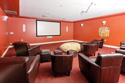 Movie room with eseating