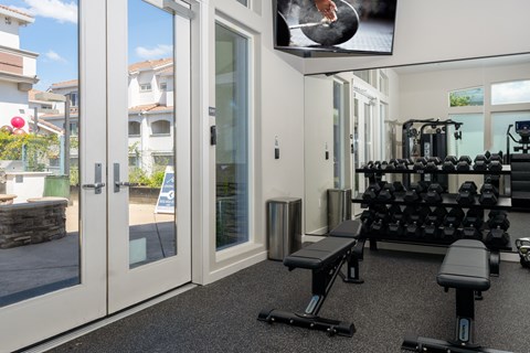 A home gym with a row of dumbbells and a bench.