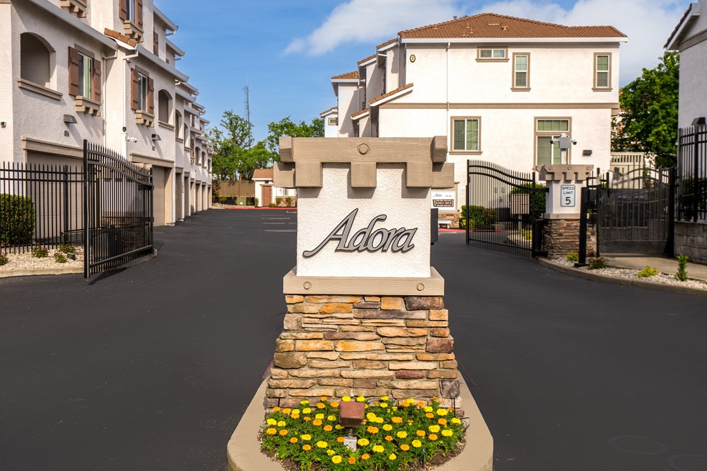 A sign that says Alders in front of a street.