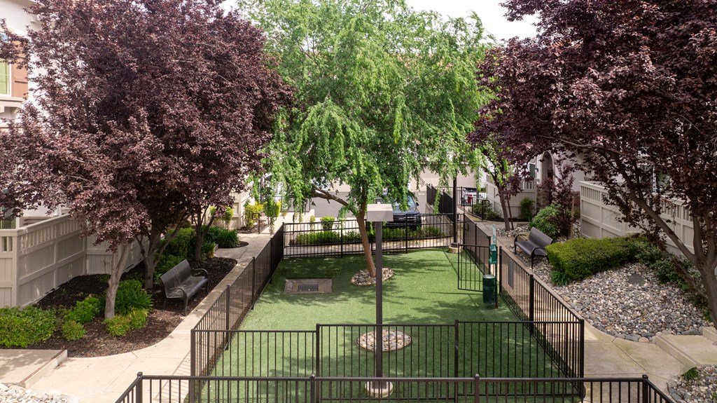 A small green dog park