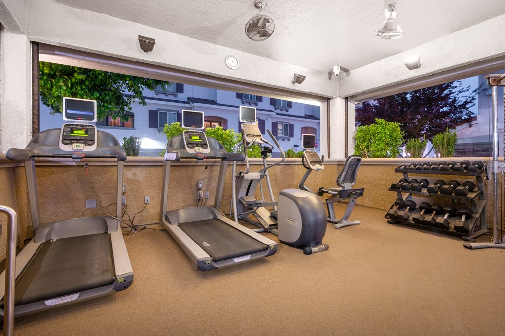A gym with treadmills, exercise bikes, and weight machines.