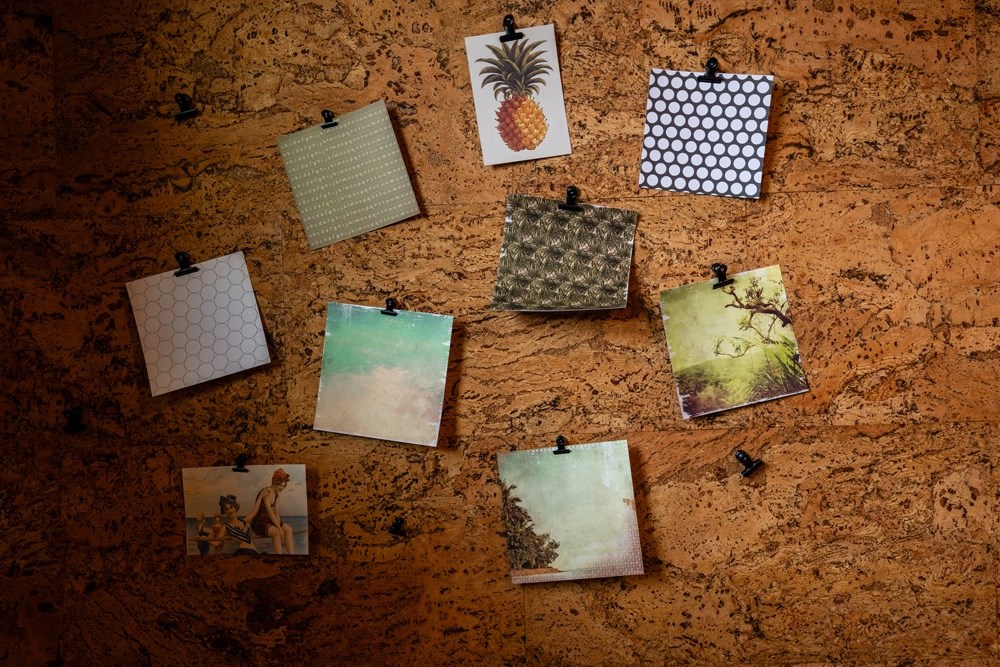 Alders Prosper 55+ Active Adult Luxury Living