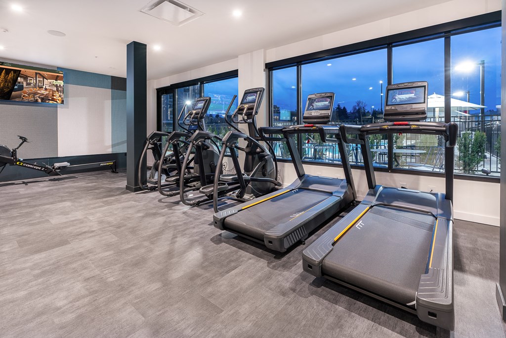 a gym with treadmills and exercise bikes