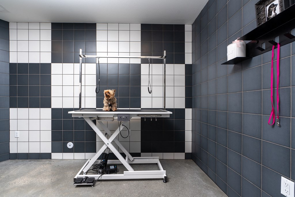 a dog sitting on a table in a veterinary clinic