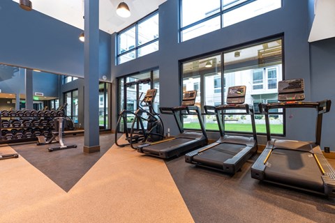 A gym with treadmills, weights, and exercise equipment.
