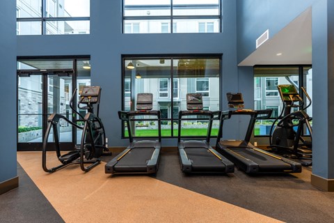 A gym with treadmills and elliptical machines.