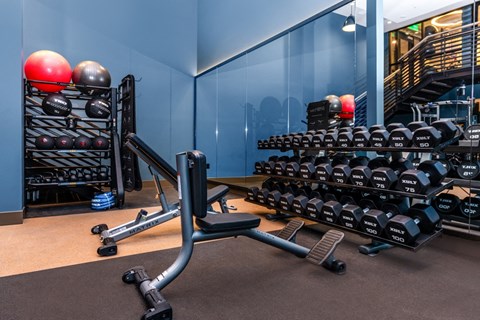 A gym with a variety of weights and a bench press in the foreground.